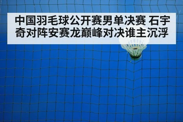 badminton net shot